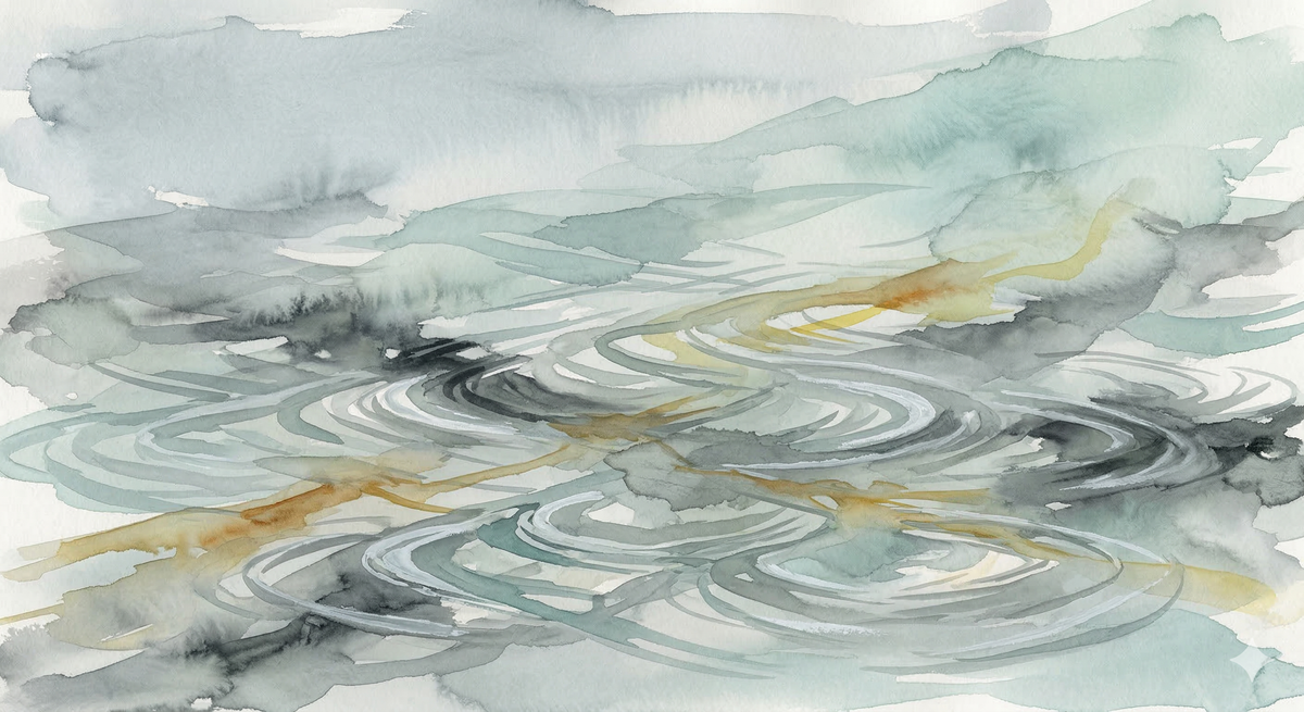 Observing the Market Value of Information